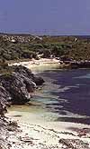 Rottnestisland1.jpg (5545 byte)