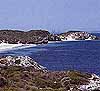 Rottnestisland3.jpg (3826 byte)