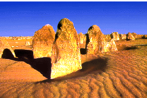 pinnacolides.gif (47218 byte)